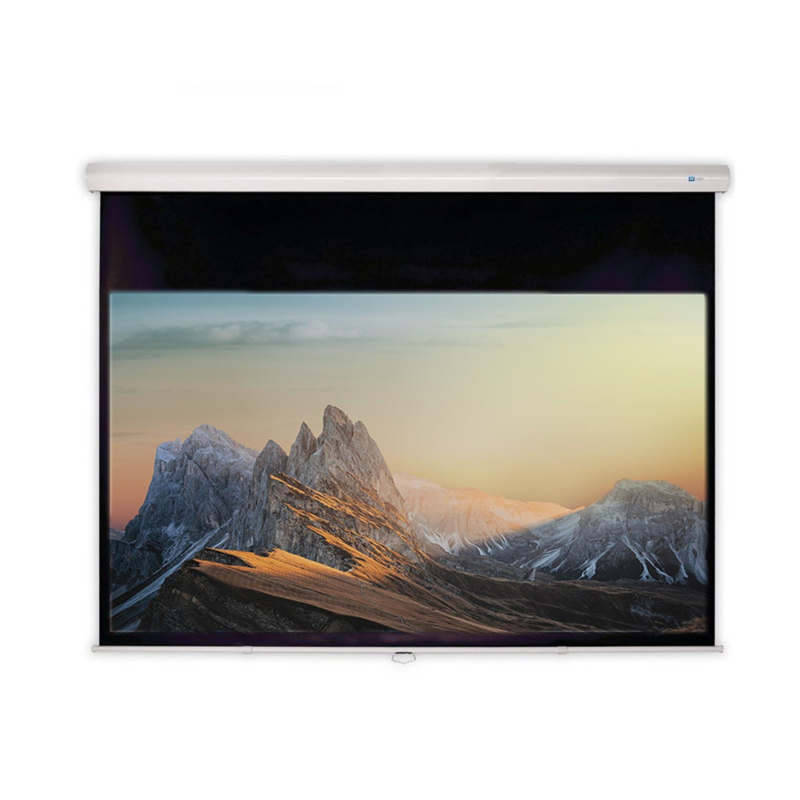 CELEXON Advanced - Slowmotion Mattweiss Polaro Rolloleinwand, Bildhöhe: 149 cm