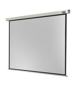 CELEXON Professional Motorleinwand, Bildbreite: 270 cm