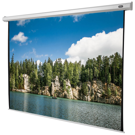 CELEXON Economy Motorleinwand, Bildhöhe: 290 cm