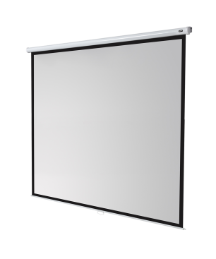 CELEXON Economy Rolloleinwand, Bildbreite: 300 cm