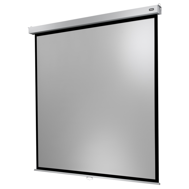 CELEXON Professional Plus Rolloleinwand, Bilddiagonale (cm): 339 cm