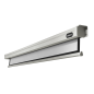 CELEXON Professional Motorleinwand, Bildbreite: 210 cm