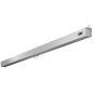 CELEXON Professional Plus Rolloleinwand, Bildbreite: 240 cm