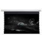 CELEXON Cinema Tension - DARKVISION Tensionleinwand, Bildbreite: 332 cm CELEXON Cinema Tension - DARKVISION Tensionleinwand, Bildbreite: 332 cm