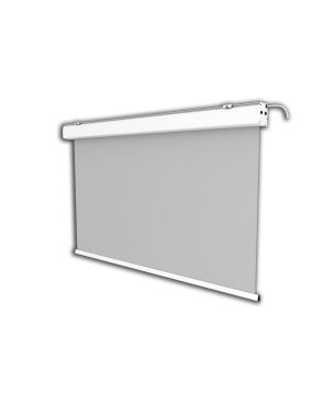 CELEXON Expert Motorleinwand