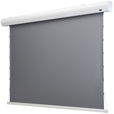 CELEXON HomeCinema Tension Dynamic Slate ALR Tensionleinwand