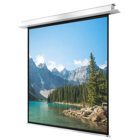 CELEXON Deckeneinbau Pro+ Deckeneinbauleinwand, Bildbreite: 280 cm