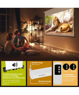 ESMART Professional TATENSO Akustik 295 x 165 cm (133") 16:9 Tension-Leinwand