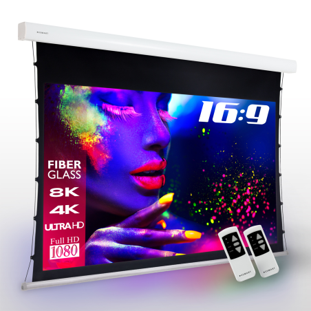 ESMART Expert XTS 221 x 125 cm (100") 16:9 GRAU Tension-Leinwand
