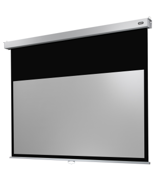 CELEXON Professional Plus Rolloleinwand, Bildhöhe: 169 cm