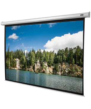 CELEXON Economy Motorleinwand, Bildbreite: 290 cm