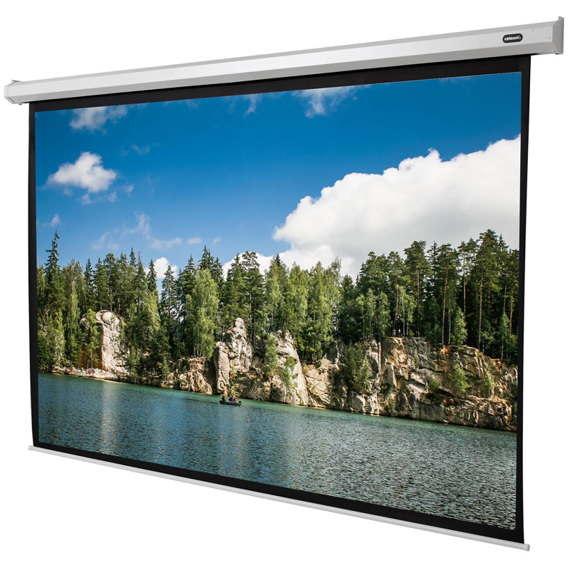 CELEXON Economy Motorleinwand, Bildbreite: 290 cm