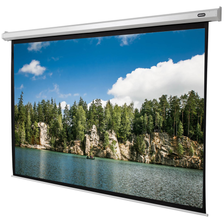 CELEXON Economy Motorleinwand, Bildbreite: 290 cm