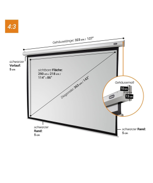 CELEXON Economy Motorleinwand, Bildbreite: 290 cm