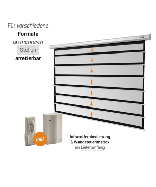 CELEXON Economy Motorleinwand, Bildbreite: 290 cm