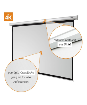 CELEXON Economy Motorleinwand, Bildbreite: 290 cm