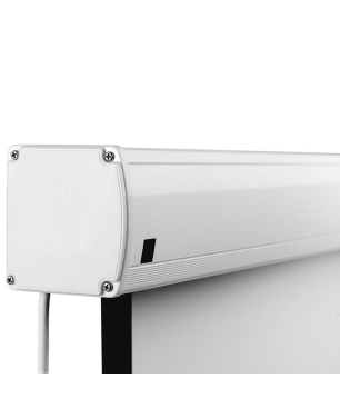 CELEXON Advanced - Elegance Mattweiss Polaro Motorleinwand weiß