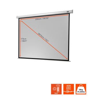 CELEXON Economy Motorleinwand, Bildbreite: 230 cm