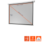 CELEXON Economy Motorleinwand, Bildbreite: 230 cm