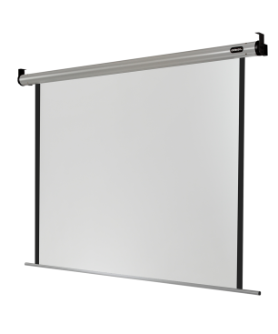 CELEXON HomeCinema Motorleinwand, Bildbreite: 214 cm