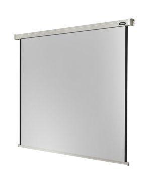 CELEXON Professional Motorleinwand, Bildbreite: 195 cm