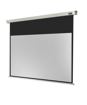 CELEXON Professional Motorleinwand, Bildhöhe: 109 cm