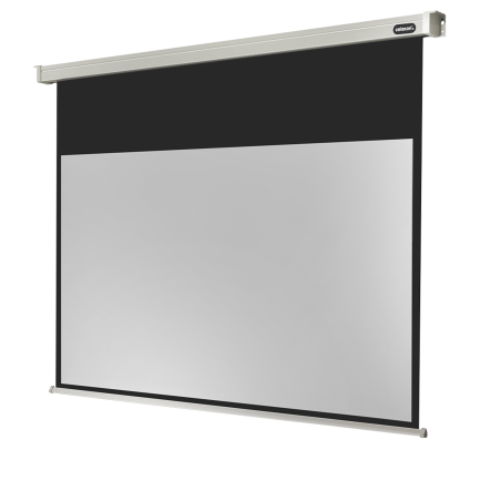 CELEXON Professional Motorleinwand, Bildhöhe: 109 cm