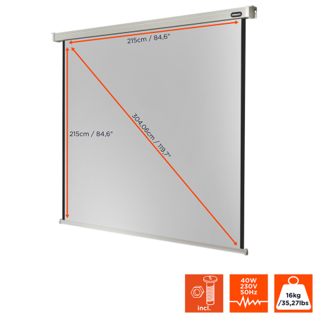 CELEXON Professional Motorleinwand, Bildbreite: 215 cm
