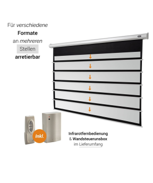 CELEXON Economy Motorleinwand