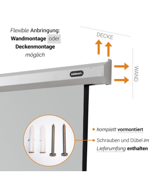 CELEXON Economy Motorleinwand