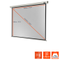 CELEXON Professional Motorleinwand, Bildbreite: 194 cm