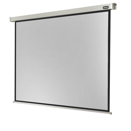 CELEXON Professional Motorleinwand, Bildbreite: 230 cm