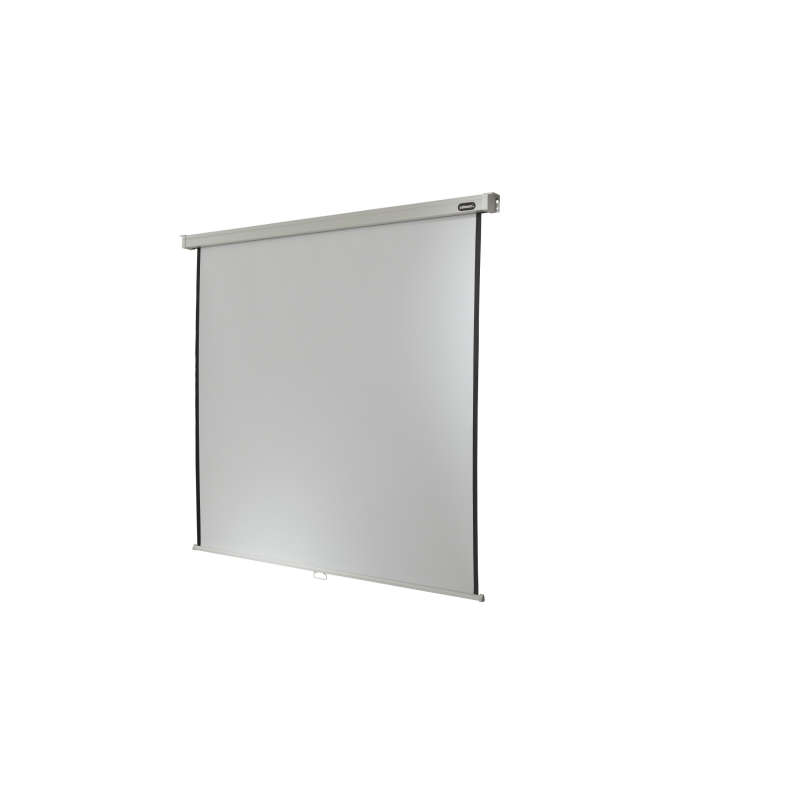CELEXON Professional Rolloleinwand weiß