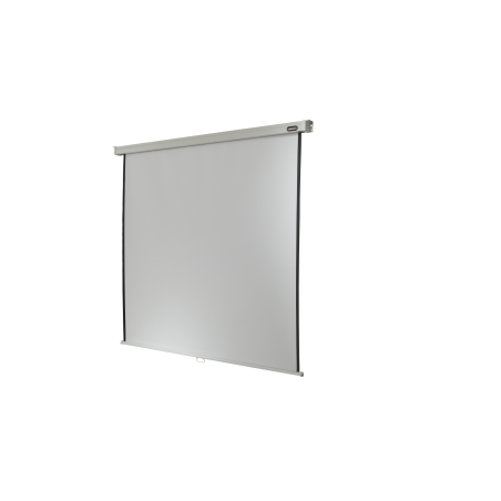 CELEXON Professional Rolloleinwand weiß