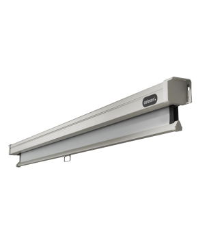 CELEXON Professional Rolloleinwand weiß