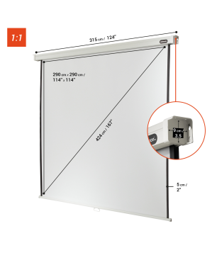 CELEXON Professional Rolloleinwand weiß