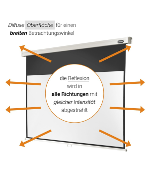 CELEXON Professional Rolloleinwand