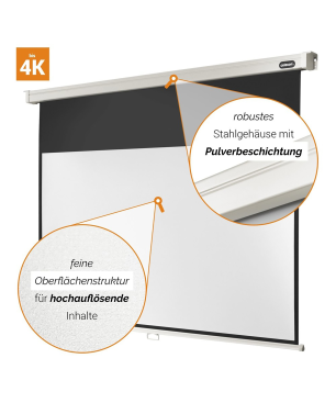 CELEXON Professional Rolloleinwand