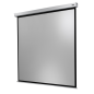CELEXON Professional Plus Motorleinwand, Bilddiagonale (cm): 282 cm