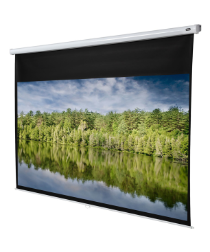 CELEXON Economy Rolloleinwand
