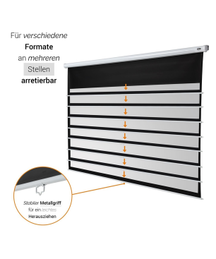 CELEXON Economy Rolloleinwand