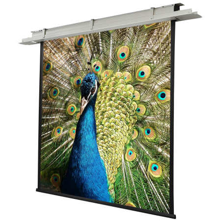 CELEXON Motor Expert Deckeneinbauleinwand, Bildbreite: 200 cm
