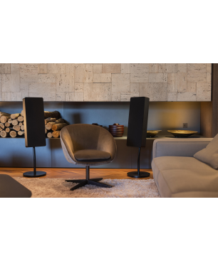 BRAUN Audio LE01 Bluetooth Lautsprecher App-steuerbar, Bluetooth, Schwarz