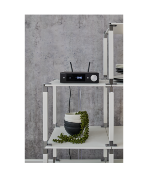 NUBERT nuConnect ampX Verstärker (2Kanäle, 110 Wattpro Kanal, Schwarz)