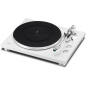 TEAC TN 300 NA NATUR Plattenspieler Natur
