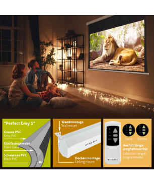 ESMART Professional TATENSO Tageslicht GRAU 332 x 187 cm (150") 16:9 Tension-Leinwand