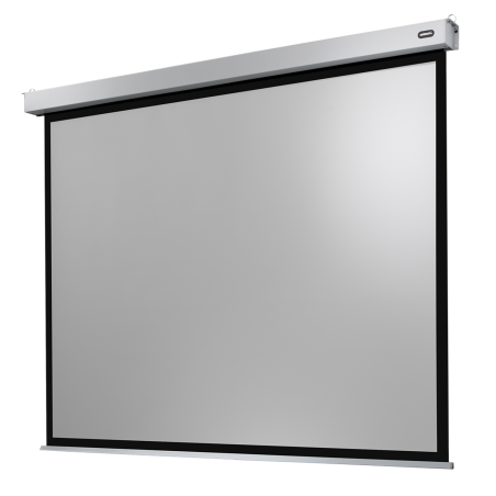 CELEXON Professional Plus Motorleinwand, Bilddiagonale (cm): 300 cm