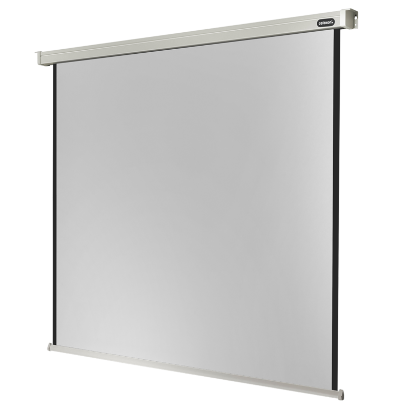 CELEXON Professional Motorleinwand, Bildhöhe: 290 cm
