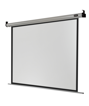 CELEXON HomeCinema Motorleinwand, Bildhöhe: 176 cm