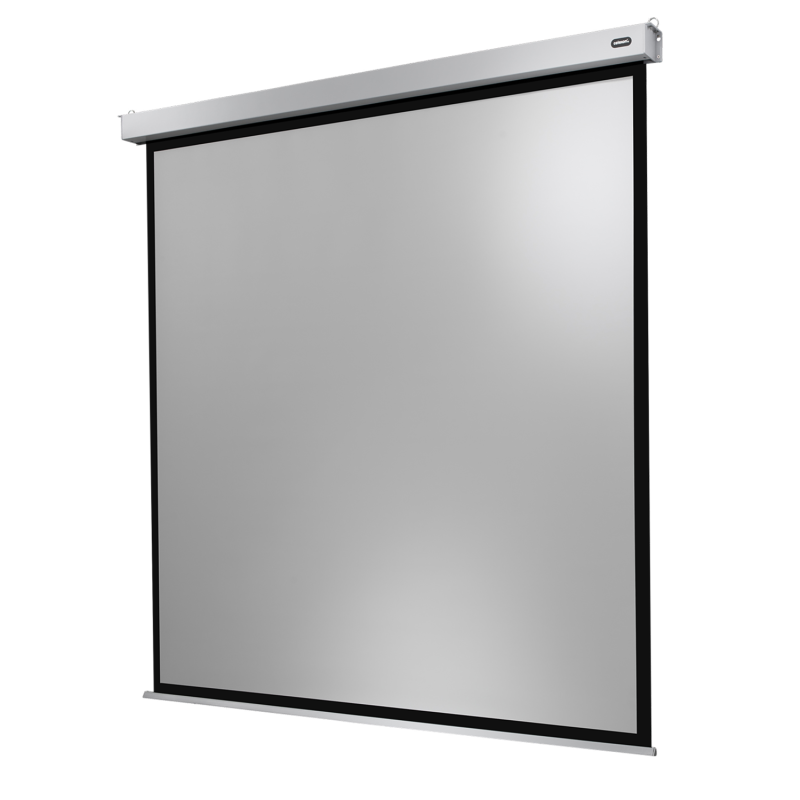 CELEXON Professional Plus Motorleinwand, Bildbreite: 300 cm